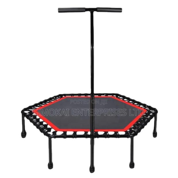 Home & Commercial Use Gym Trampoline