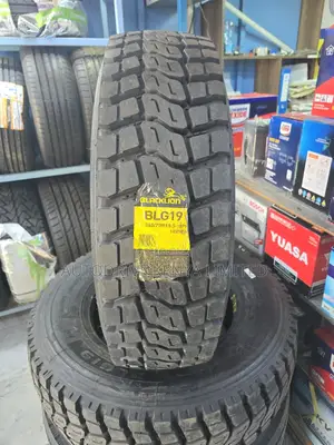 265/70r19.5 Blacklion Commercial Tire