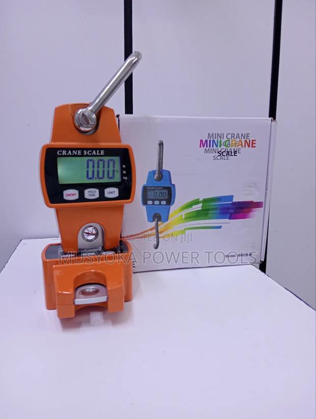 Digital Crane Scale 300kgd