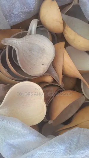 Calabash Available Many Pieces