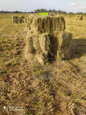 Hay for Sale Boma Rhodes - main view