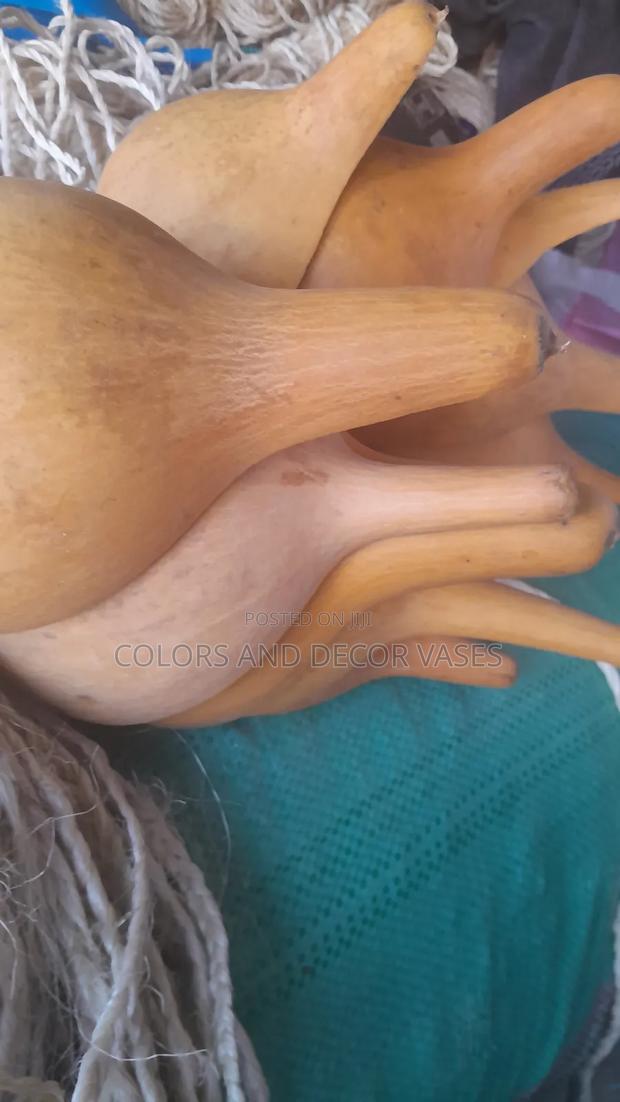 Calabashes Available in Plenty
