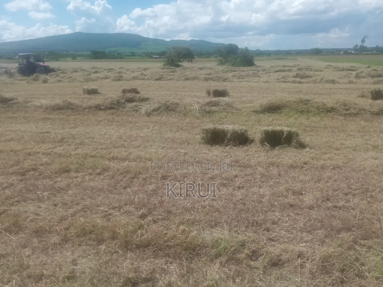 Hay for Sale Boma Rhodes