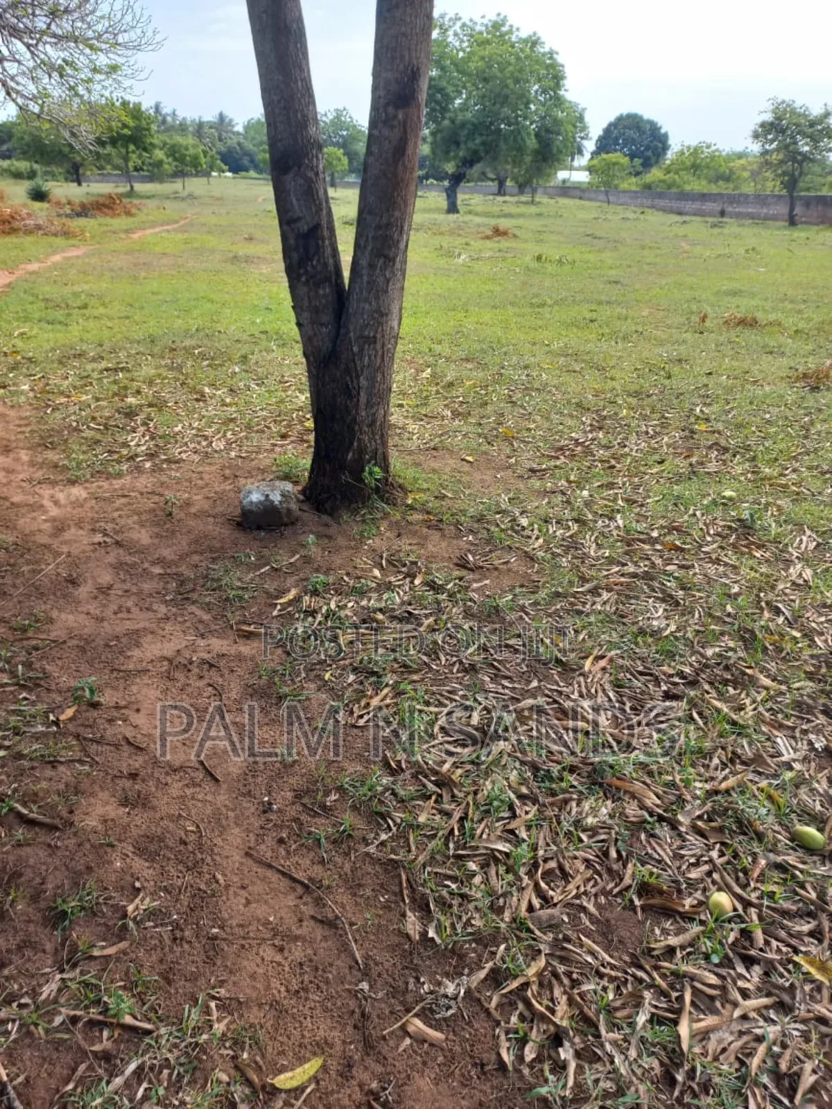 Diani Airport View Quarter Acre Plots