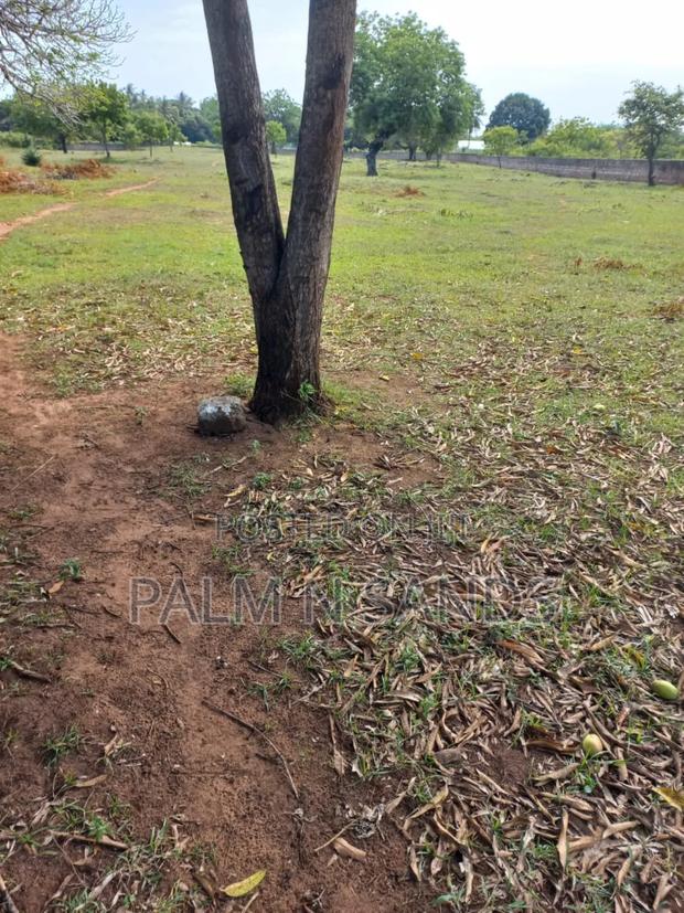Diani Airport View Quarter Acre Plots - thumbnail 6