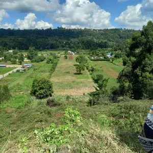Plots for Sale in Rironi Near Tilisi