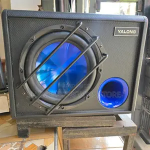 10 Inch Amplified Subwoofer