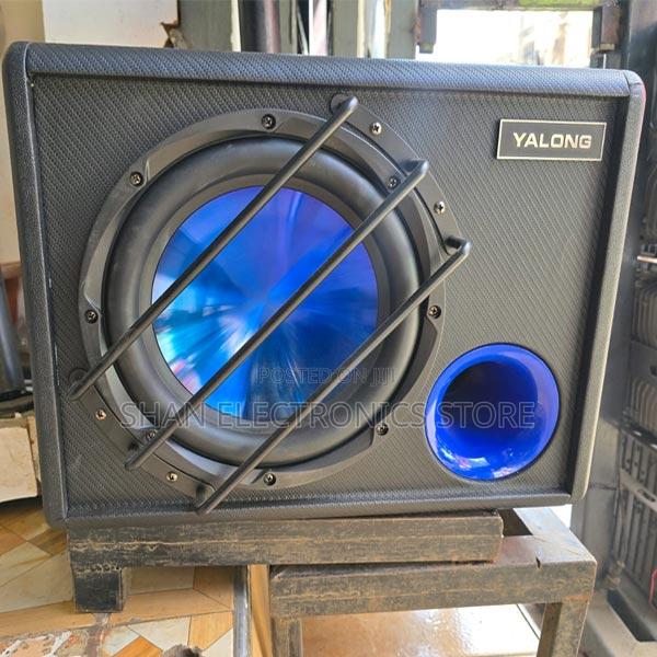 10 Inch Powered Amplified Bass Subwoofer