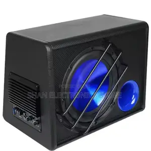 10 Inch 12V Subwoofer Built-in Amplifier for Car