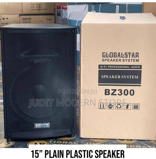 Public Adress Speaker 15"