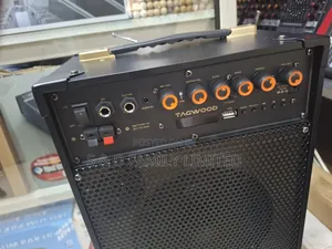 Tagwood 6 Inch Portable Speaker
