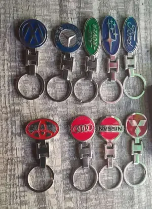 All Car Models Key Alarm Remote Holder