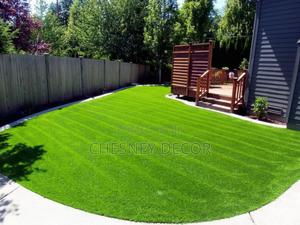 Turf on Home Entrance - thumbnail 2
