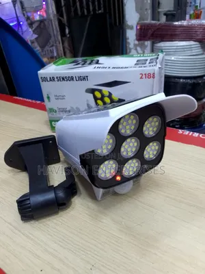 Solar Monitoring Lamp/Motion Sensor