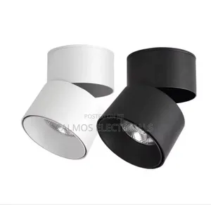Tiltable Downlights