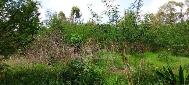 Residential Land in Thome - thumbnail 3