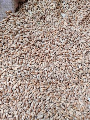 Good Quality Wheat - thumbnail 2