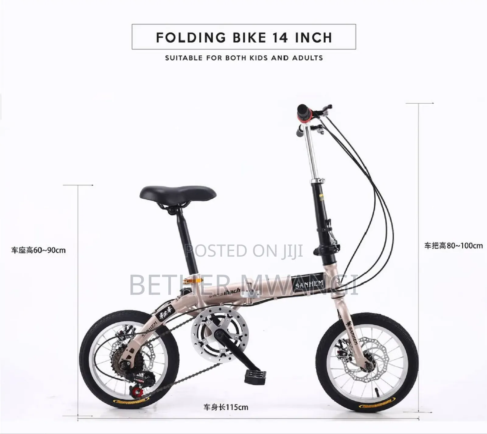 14" Foldable Bicycle In Kenya