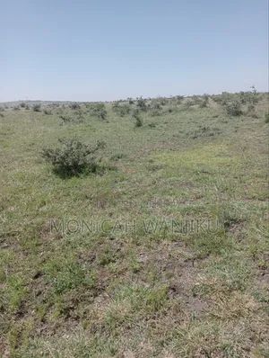 Plot for Sale in Mwalimu Farm Ruiru East