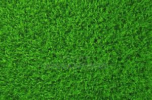 Artificial Grass Carpet - thumbnail 2