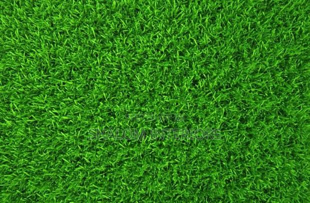 Artificial Grass Carpet - main view