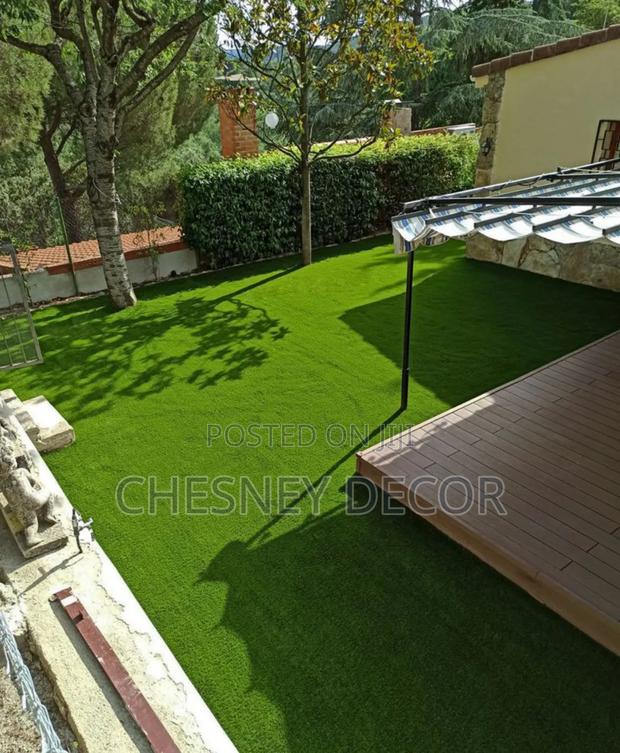 Exterior Idea Grass - main view
