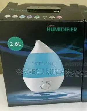 2.6 L Humidifier