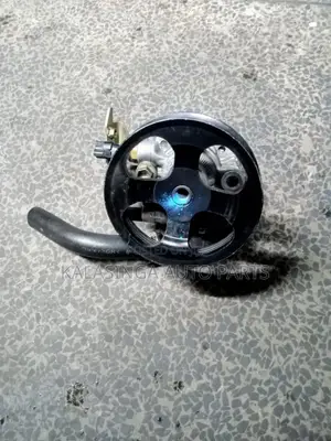 Izz Power Steering  Pump