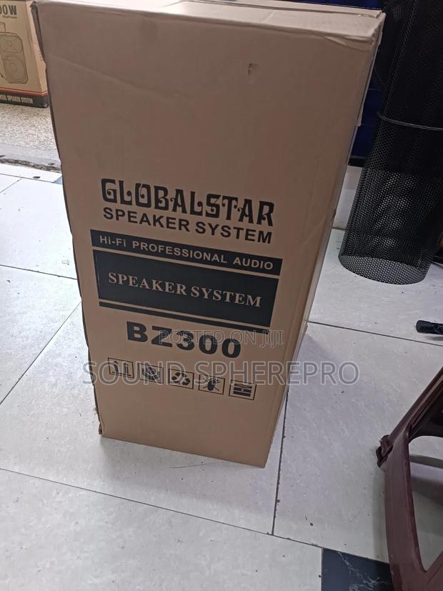 Global Star BZ300 15 Inch Passive Speaker - thumbnail 2