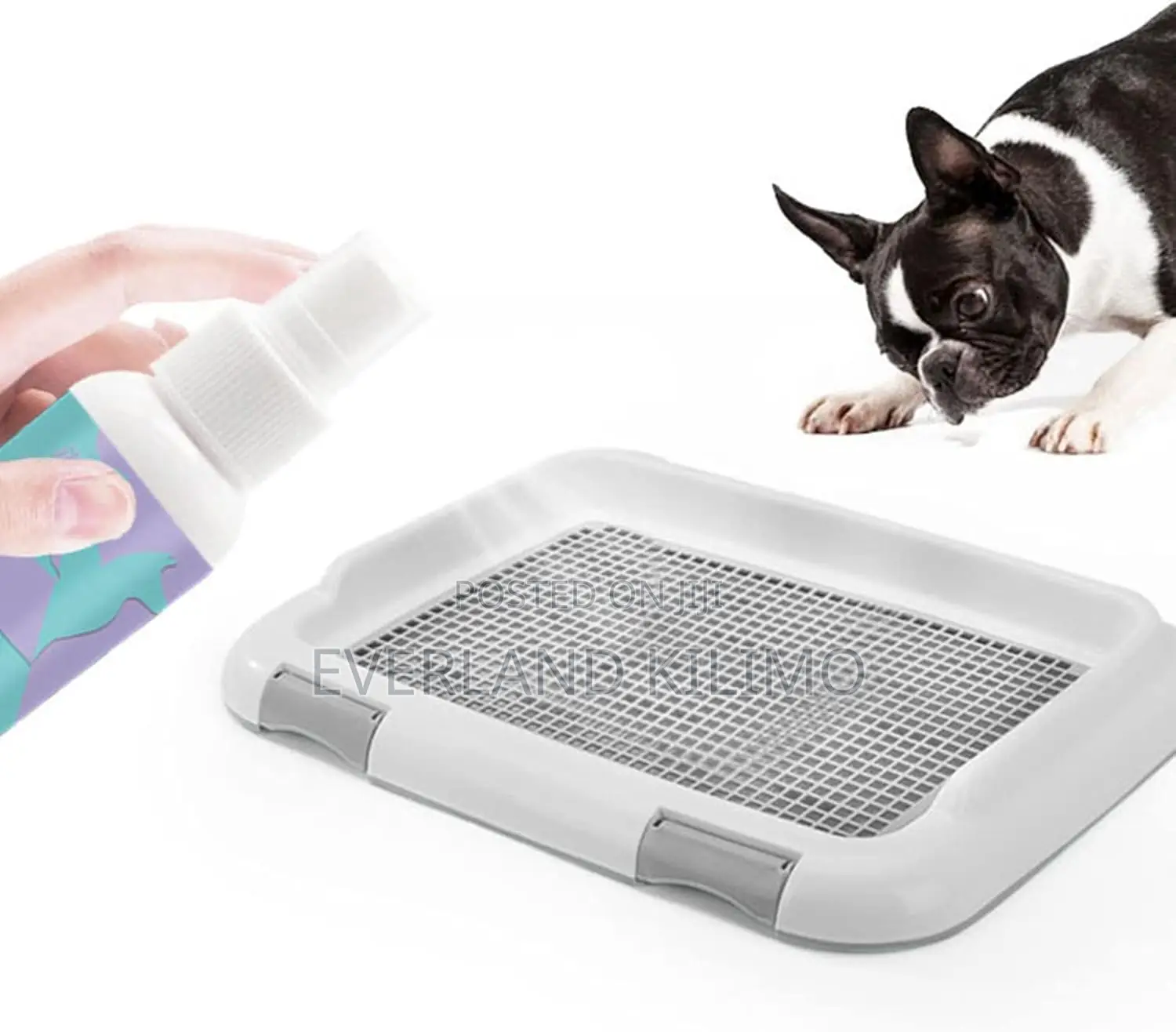 Poop Training Aid Spray for Dogs