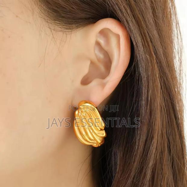 Elegant and Unique Earrings - thumbnail 2