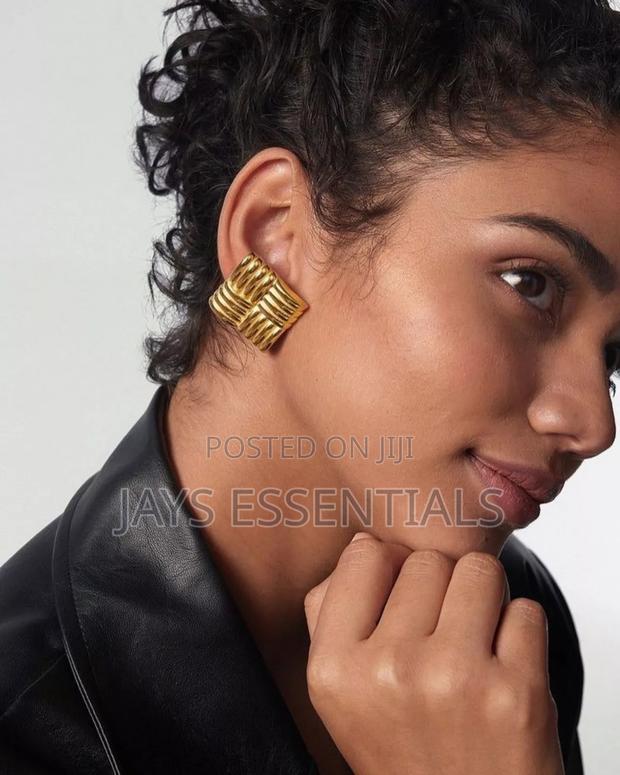 Elegant and Unique Earrings - thumbnail 5