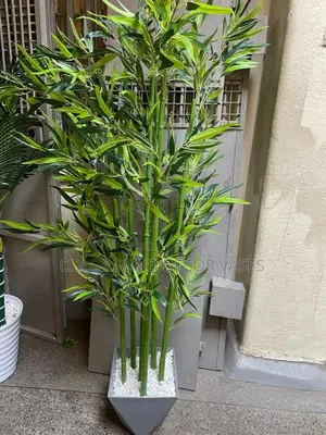 Bamboo Sticks 1.5m Vases Variety of Colours