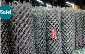 Shamba Heavy Gauge Chain Link 10 Feet 10 G 3.2 Mm (50 X 50)