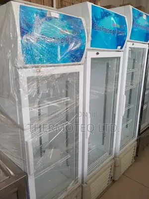 Single Door Freezing
