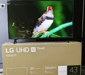 LG 43 Inch Smart Tv 43UQ75