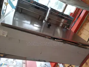 Electric Fryer