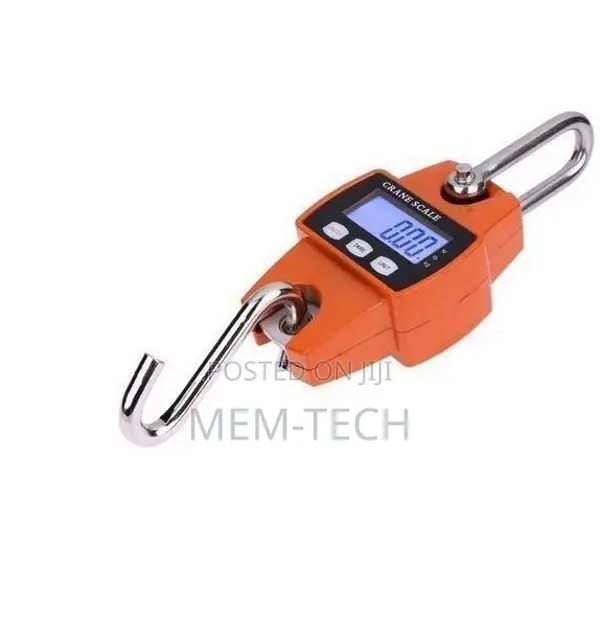 Quality 300KGS Industrial Crane Digital Weighing Scale