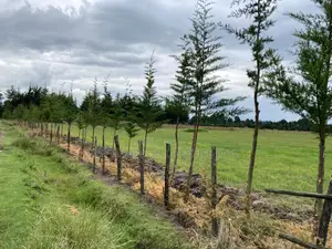 4acres for Sale in Kinangop Nyandarua County