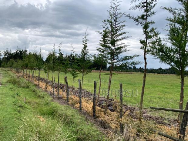 4acres for Sale in Kinangop Nyandarua County