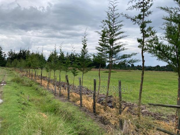 4acres for Sale in Kinangop Nyandarua County - thumbnail 2