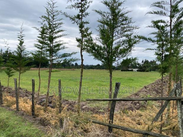 4acres for Sale in Kinangop Nyandarua County - thumbnail 3