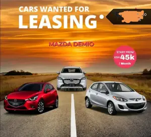 Leasing Program