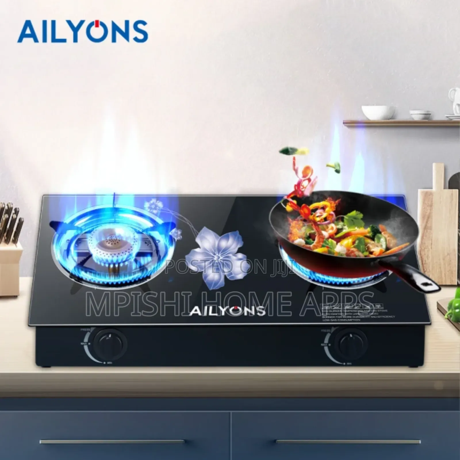 AILYONS GS014-4 Gas Stove Double Burner