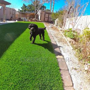 Turfing on Pet Play-Area - thumbnail 2