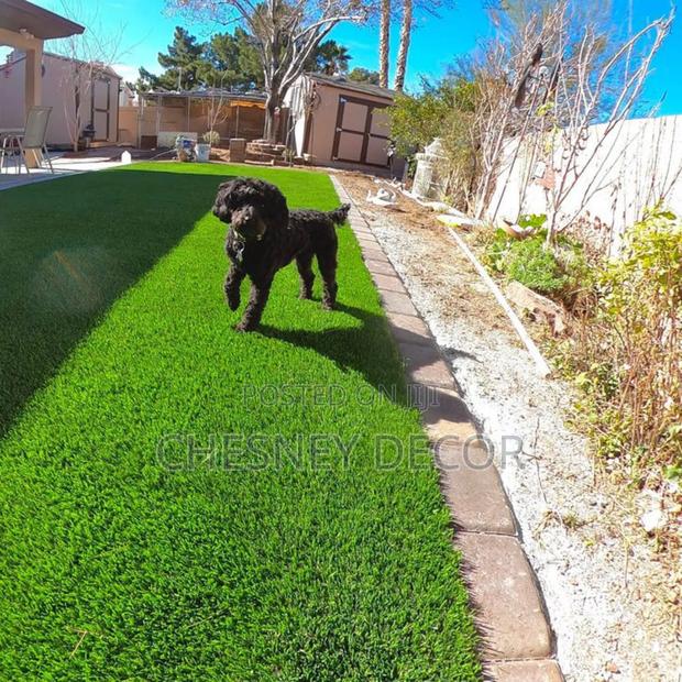 Turfing on Pet Play-Area - main view