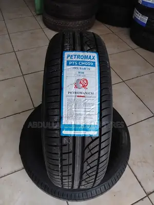 195/65 R15 Petromax 91h