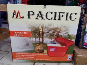 Cooler Box 32 Litres Blue in Color