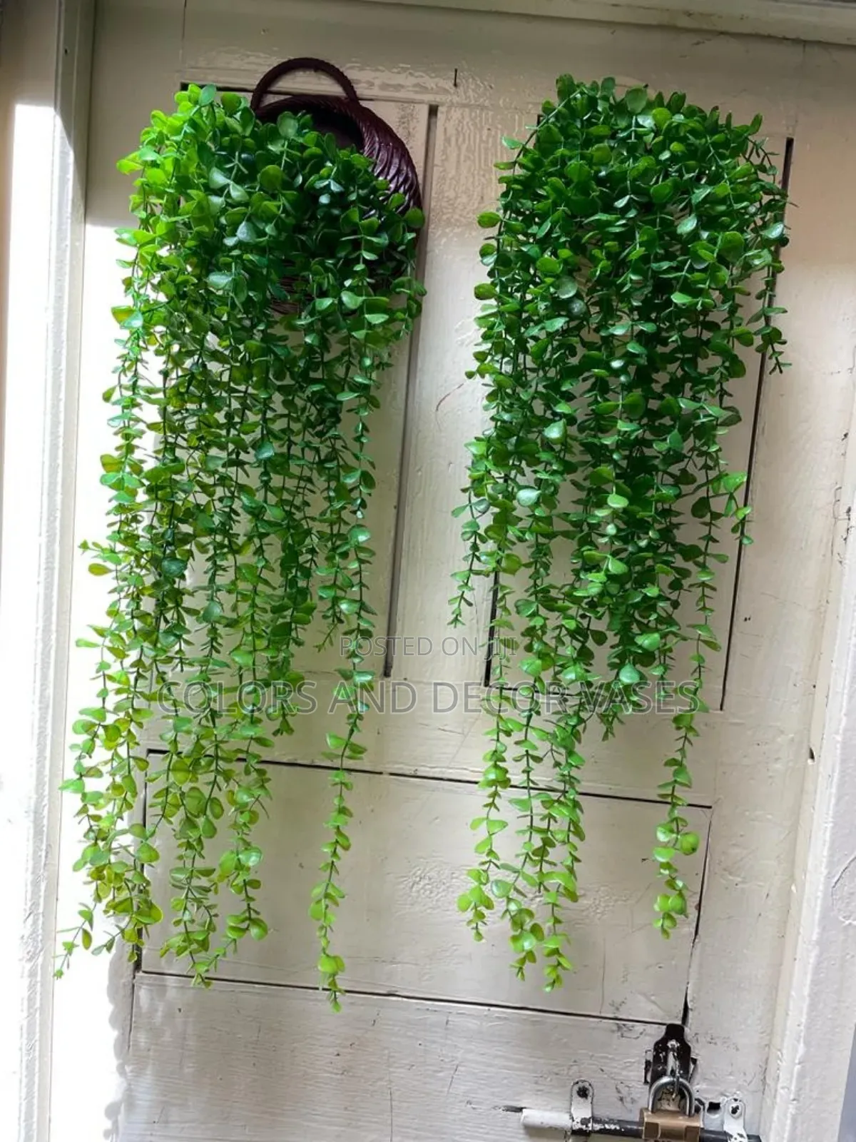 Vines, Vases Plastic Outdoor Decor