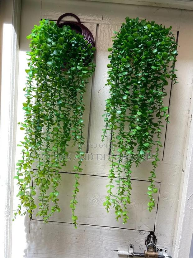 Vines, Vases Plastic Outdoor Decor